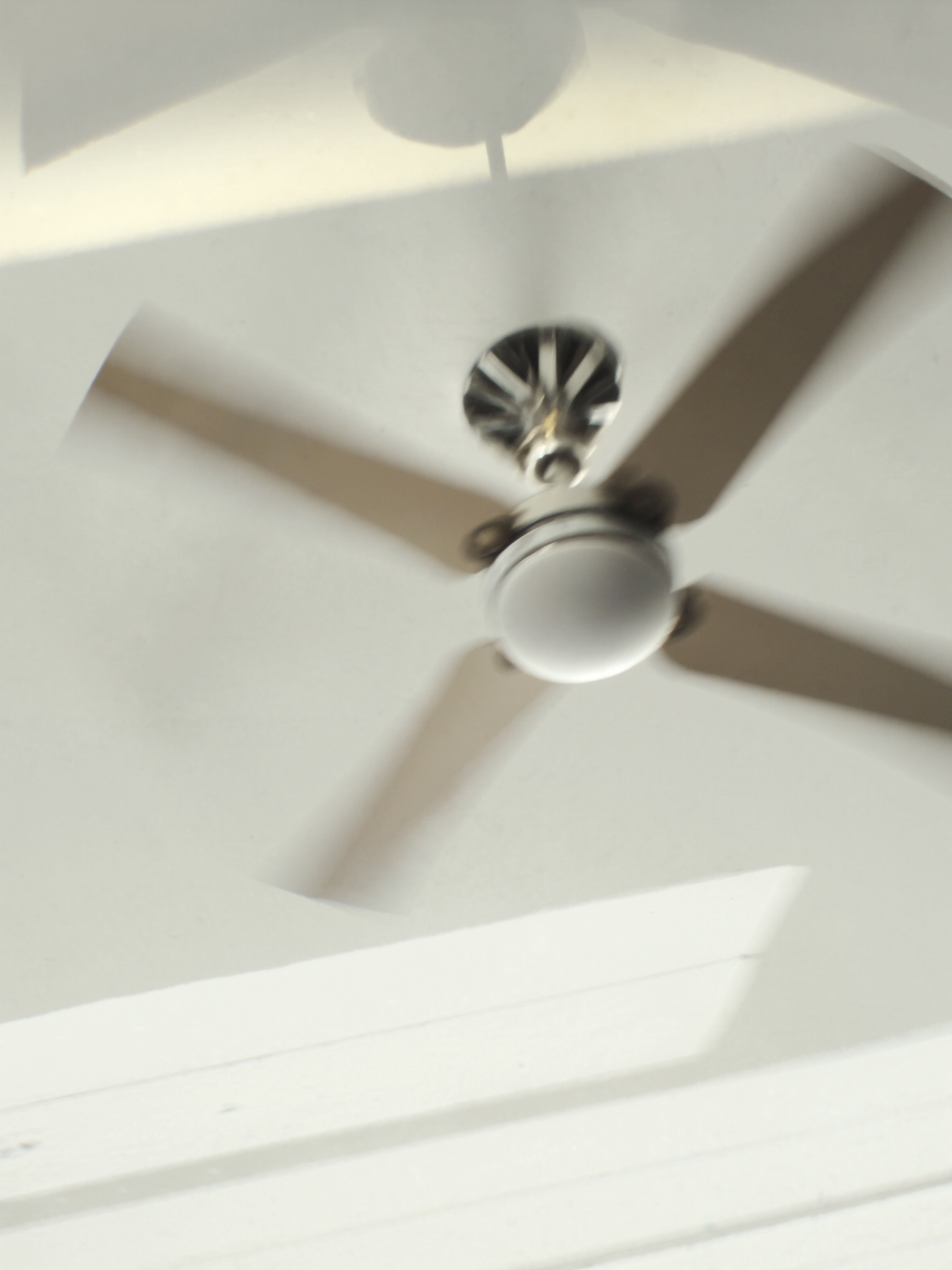 Ceiling fan install — Northern Gold Coast home